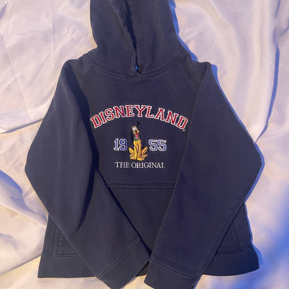 Large Toddler Disney Land Hoodie